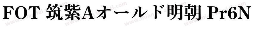FOT 筑紫Aオールド明朝 Pr6N E Regular字体转换